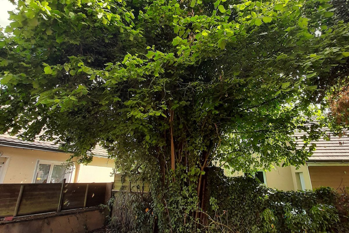 À SAINT GEORGES DU BOIS : MAISON T4 de 81 m² environ – En bon état