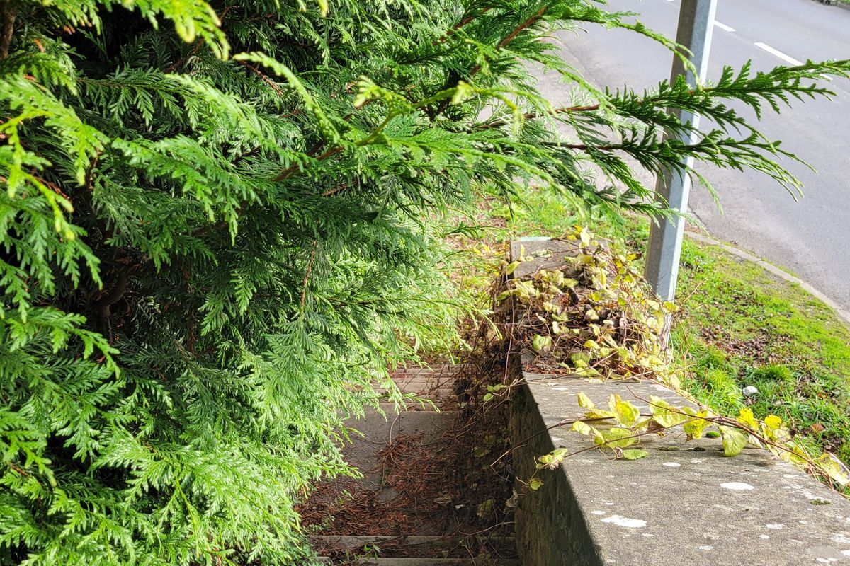 À MAMERS : Maison T6 de 140 m² environ