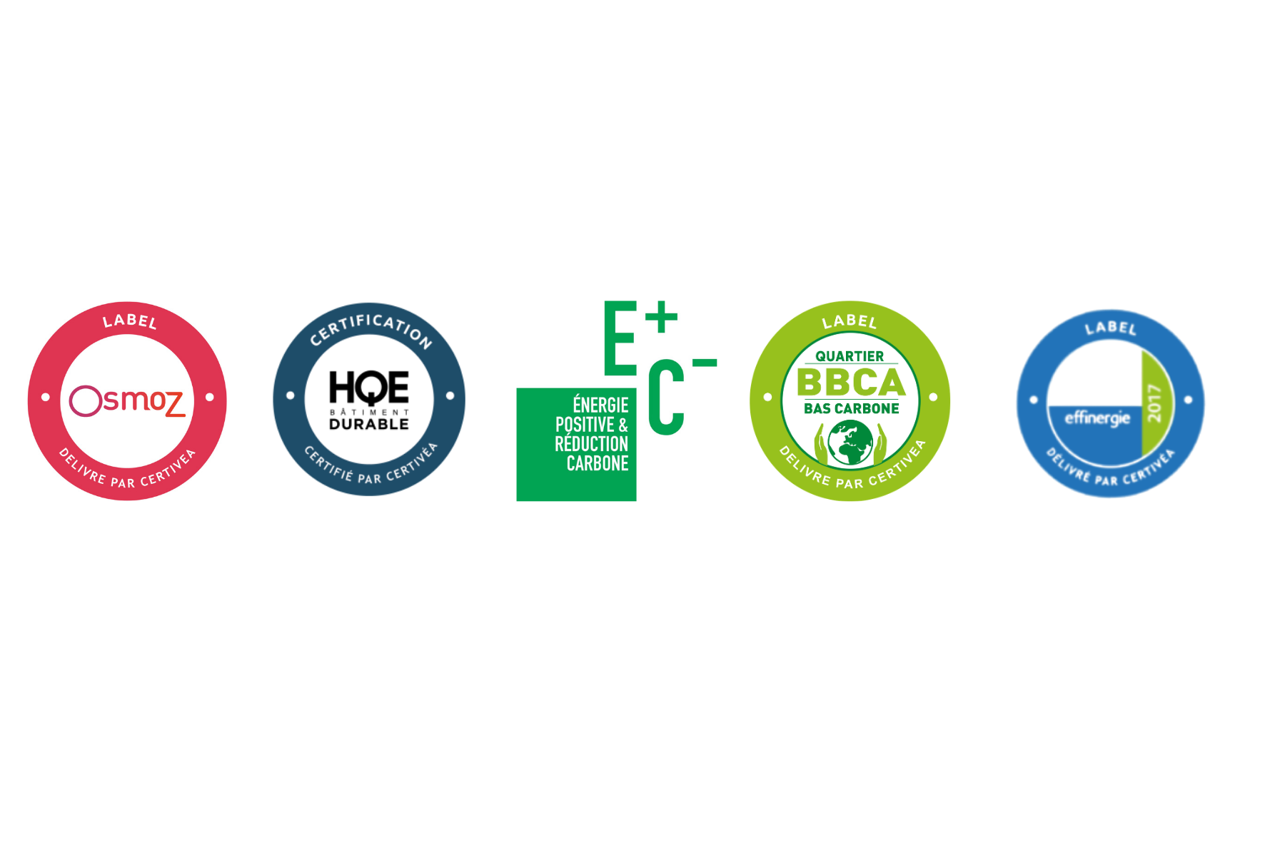 Autocollant rectangulaire bleu et vert menthe grand et gras pour organisation