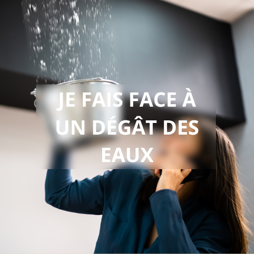 dégat des eau