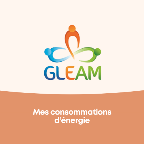GLEAM (1)
