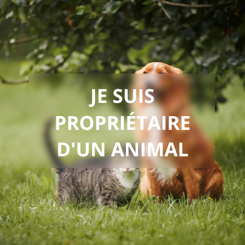 Je suis propriétaire d'un animal