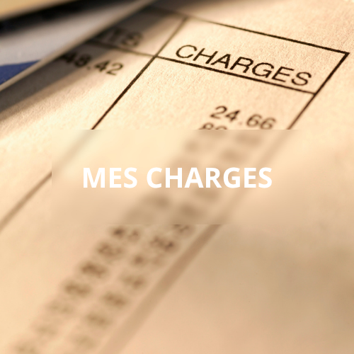 mes charges