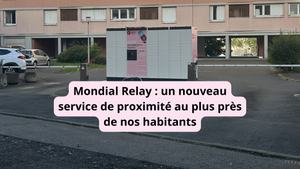 Vignette Mondial Relay