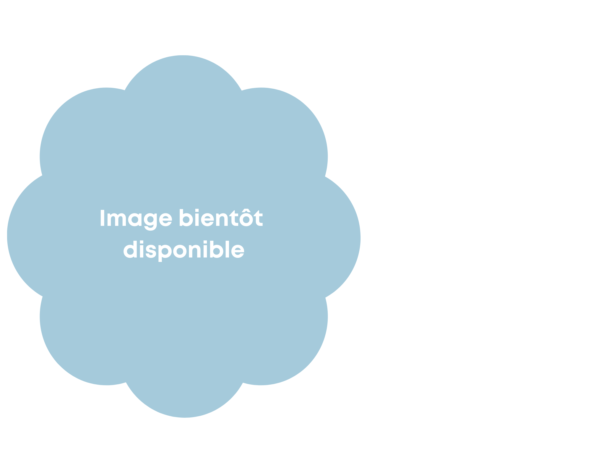 Villaines sous malicorne  (1)